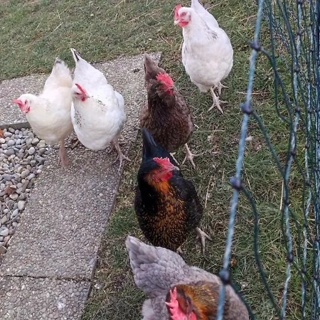 Little Tiny Village Haus 2 アパート