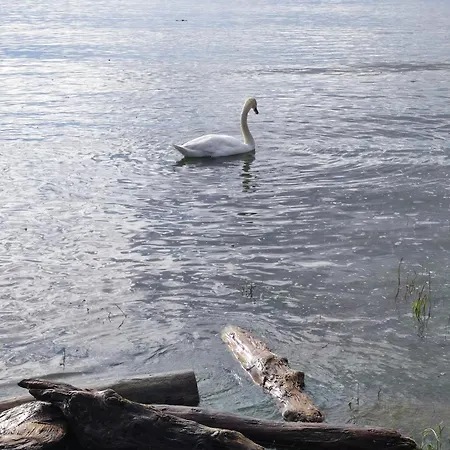 Little Tiny Village Haus 2 アパート