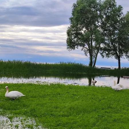 Little Tiny Village Haus 2 Fussach